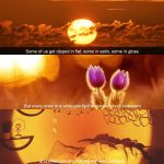 JORETLE Sunset Lamp Projection Lamp USB Sunset Projector Lamp Night Light, 16 Colors 180 Degree Rotation Color Changing Projection Light for Photography, Bedroom, Living Room, Party - Image 5